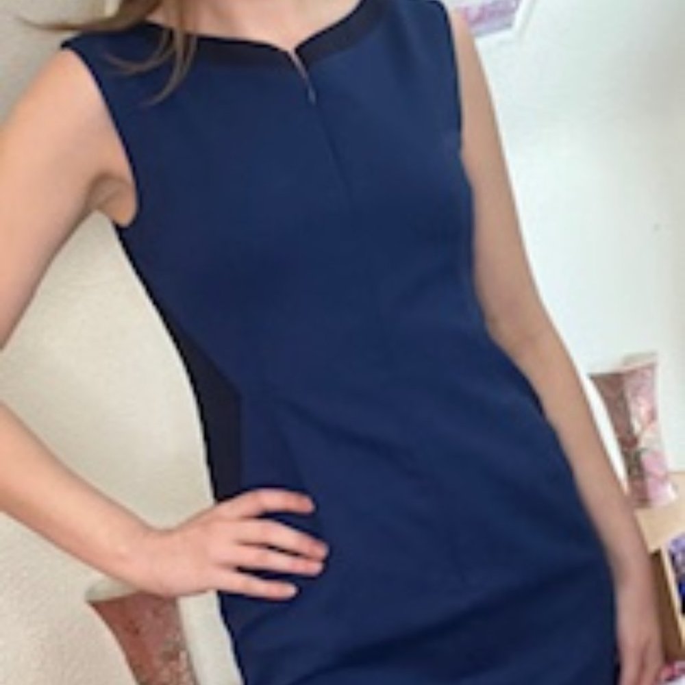 Size 6 Blue Tahari Dress